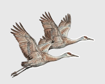 Sandhill Crane Migration Sticker – Kearney & Grand Island Nebraska Bird Watching Gift – Platte River Spring Souvenir