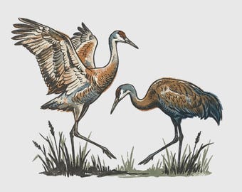Sandhill Crane Migration Sticker – Kearney & Grand Island Nebraska Bird Watching Gift – Platte River Spring Souvenir