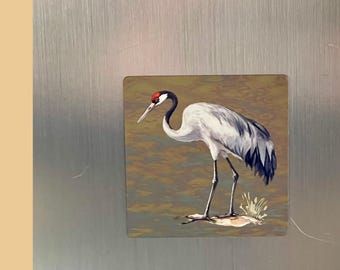 Archive Collection Sandhill Crane – Wildlife Magnet