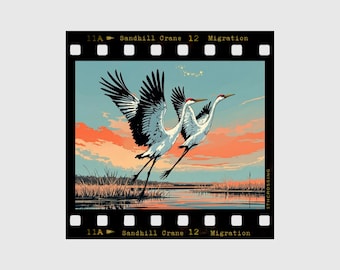 Sandhill Crane Migration Sticker – Kearney & Grand Island Nebraska Bird Watching Gift – Platte River Spring Souvenir