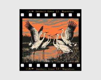 Sandhill Crane Migration Sticker – Kearney & Grand Island Nebraska Bird Watching Gift – Platte River Spring Souvenir
