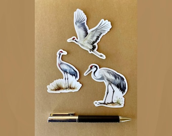 Archive Collection Sandhill Crane Sticker – Wildlife Vinyl