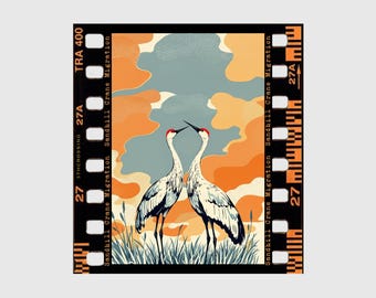 Sandhill Crane Migration Sticker – Kearney & Grand Island Nebraska Bird Watching Gift – Platte River Spring Souvenir