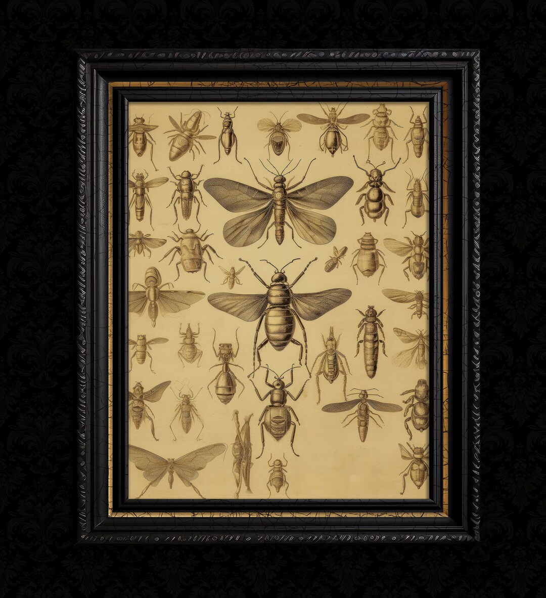 Dark Academia Decor Insect Print - Etsy