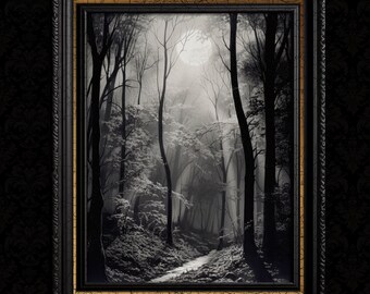 Puede incluir: Una pintura en blanco y negro de un camino forestal que conduce al bosque. El camino está bordeado de árboles a ambos lados, y la luz del sol atraviesa las hojas, creando un efecto moteado en el suelo.