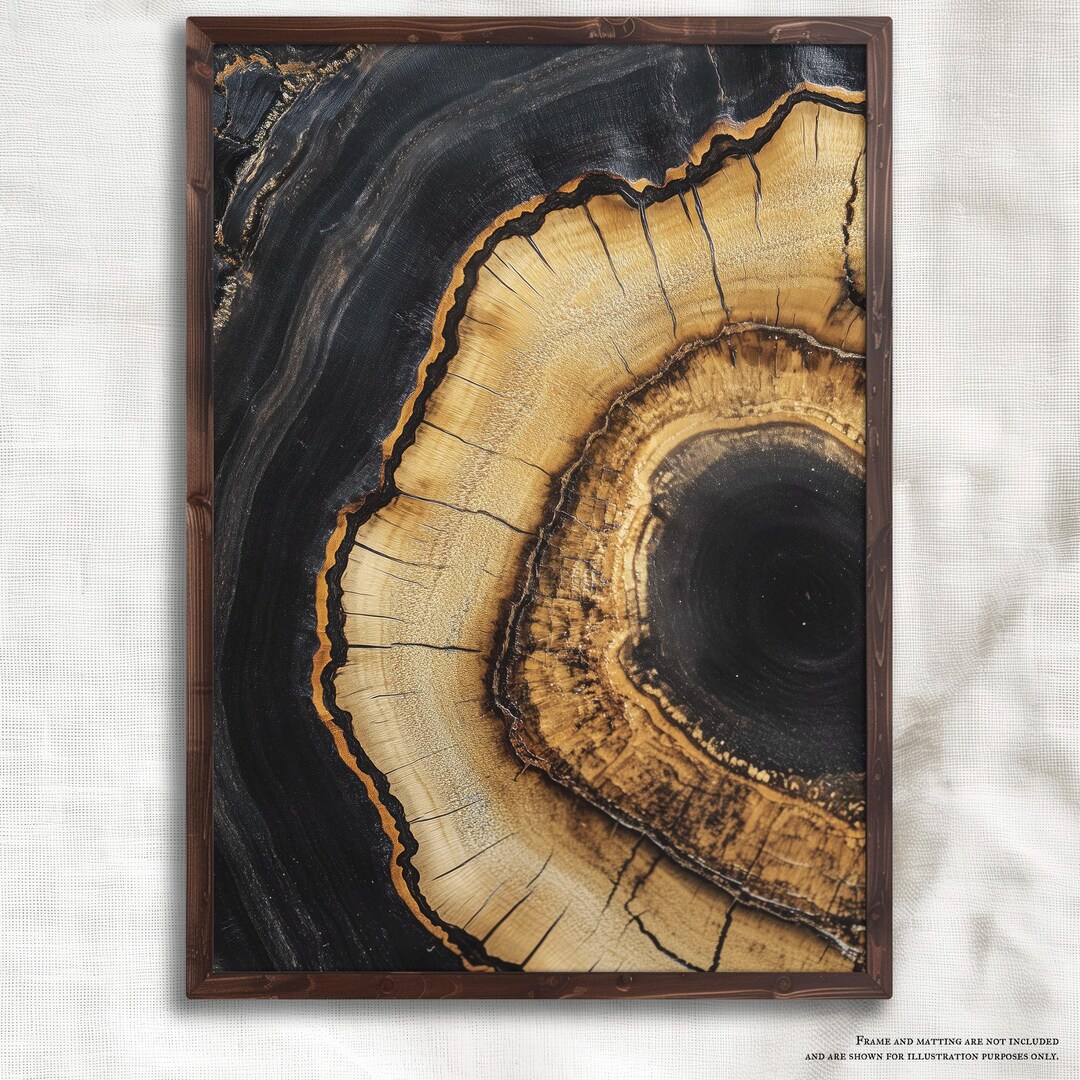 Old Tree Ring - Tree Art Print for Cottagecore Decor - Etsy