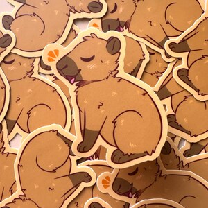 Peut inclure: Une collection d'autocollants de capybaras bruns et beiges. Les capybaras sont dans différentes poses, y compris assis, couchés et debout. Certains autocollants ont un petit motif de fleur orange.