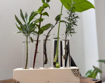 Plant Propagation station with 6 tube, Wood Propagation Stand, Stem Vase Holder.