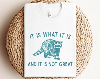 It Is What It Is And It Is Not Great Shirt, Funny Vintage T-Shirt, Raccoon Meme Tshirt, Funny Anxiety Shirt, Funny T-shirt, Funny Meme Tee