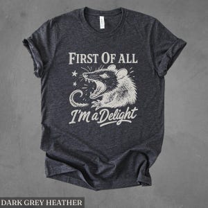 May include: Dark grey heather t-shirt with the text "FIRST OF ALL I'M a Delight" and a graphic of a possum with its mouth open. The possum is in black and white, with stars and a curved line design.
