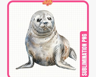 Imágenes Prediseñadas de leones marinos, imágenes prediseñadas de focas, Sealife png, acuarela, diseño de leones marinos, focas PNG, descarga digital.