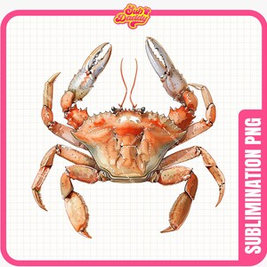 Crab Watercolor Clipart, digital scrapbook, wall art, crab png, jellyfish, whale, cute ocean animals png, instant download