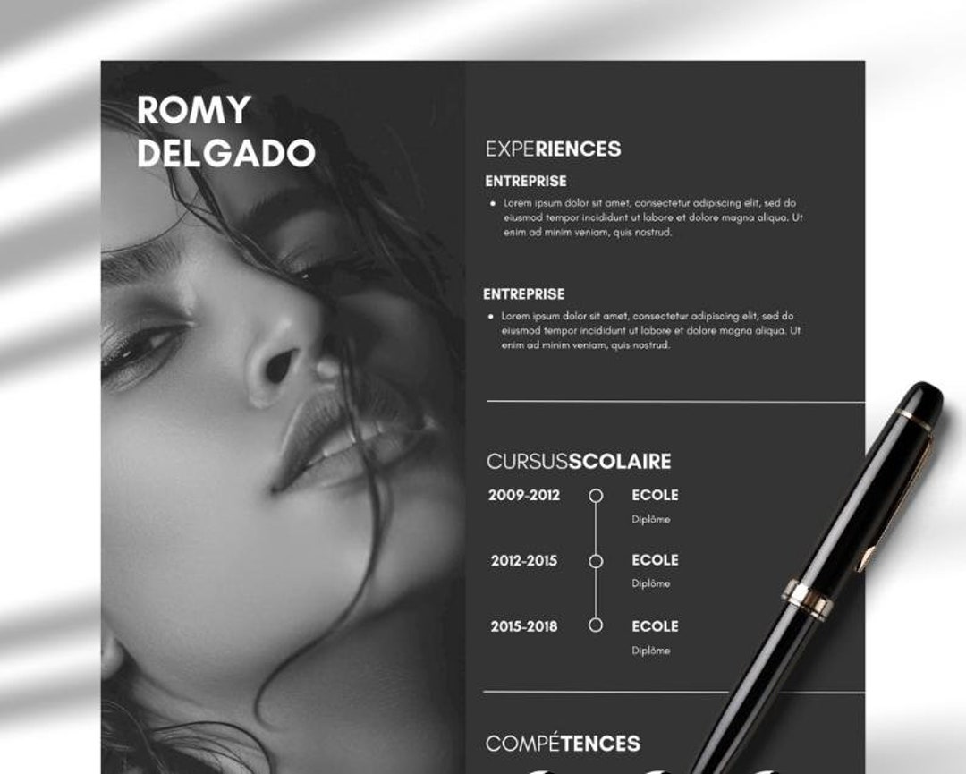 CV Template, Curriculum Vitae, French & English, Modern CV, Word, PDF