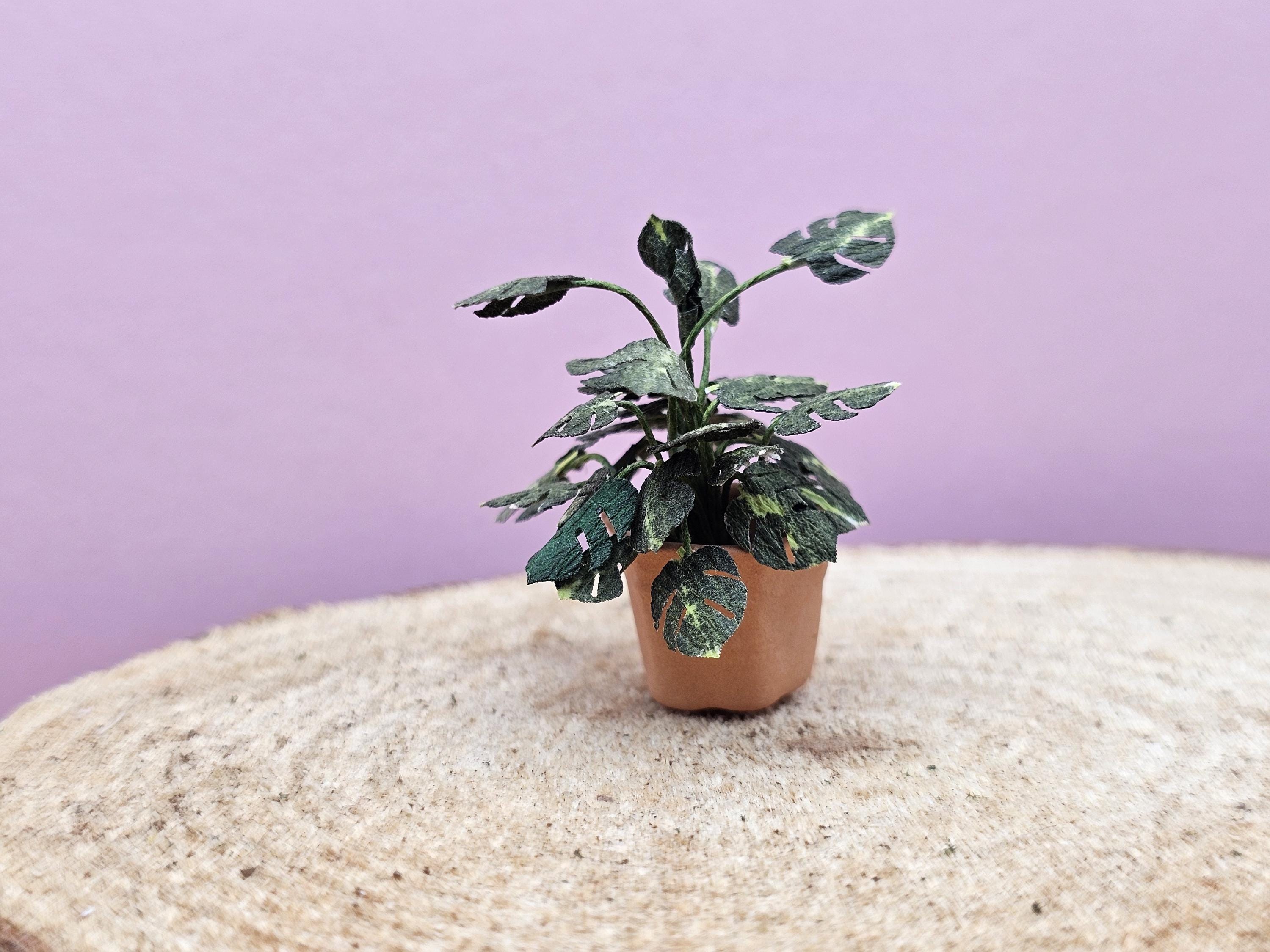 Variegated Philodendron Plant in Hexagon Pot Hand Made Scale 1:24 1/2 Dollhouse Miniatures