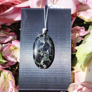 May include: An oval-shaped pendant featuring a polished black stone with intricate, light green veining. The pendant is suspended by a thin white cord and is mounted on a rectangular black display card with the handwritten text Black I.