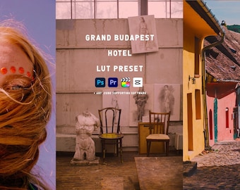 Wes Anderson "Grand Budapest Hotel" Inspired LUT preset | Color grading | For photography and video | Filter | Cinematic