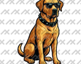 Labrador PNG – Sunglasses Dog Graphic (Digital Download)