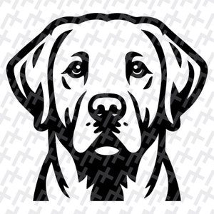 Labrador Retriever SVG Cut File - Friendly Dog Vector Graphic - Perfect for Shirts, Decals, DIY Projects - Instant Download