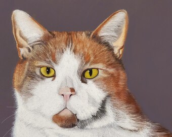 Custom Pet Portait, Hand Drawn Pastel & Colored Pencil Pet Portrait