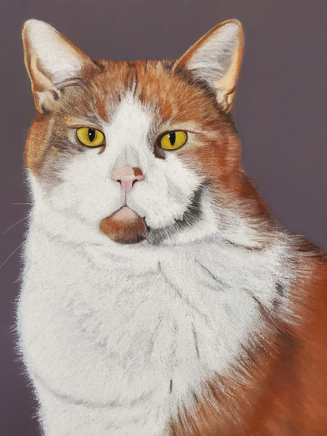 Custom Pet Portait, Hand Drawn Pastel & Colored Pencil Pet Portrait - Etsy