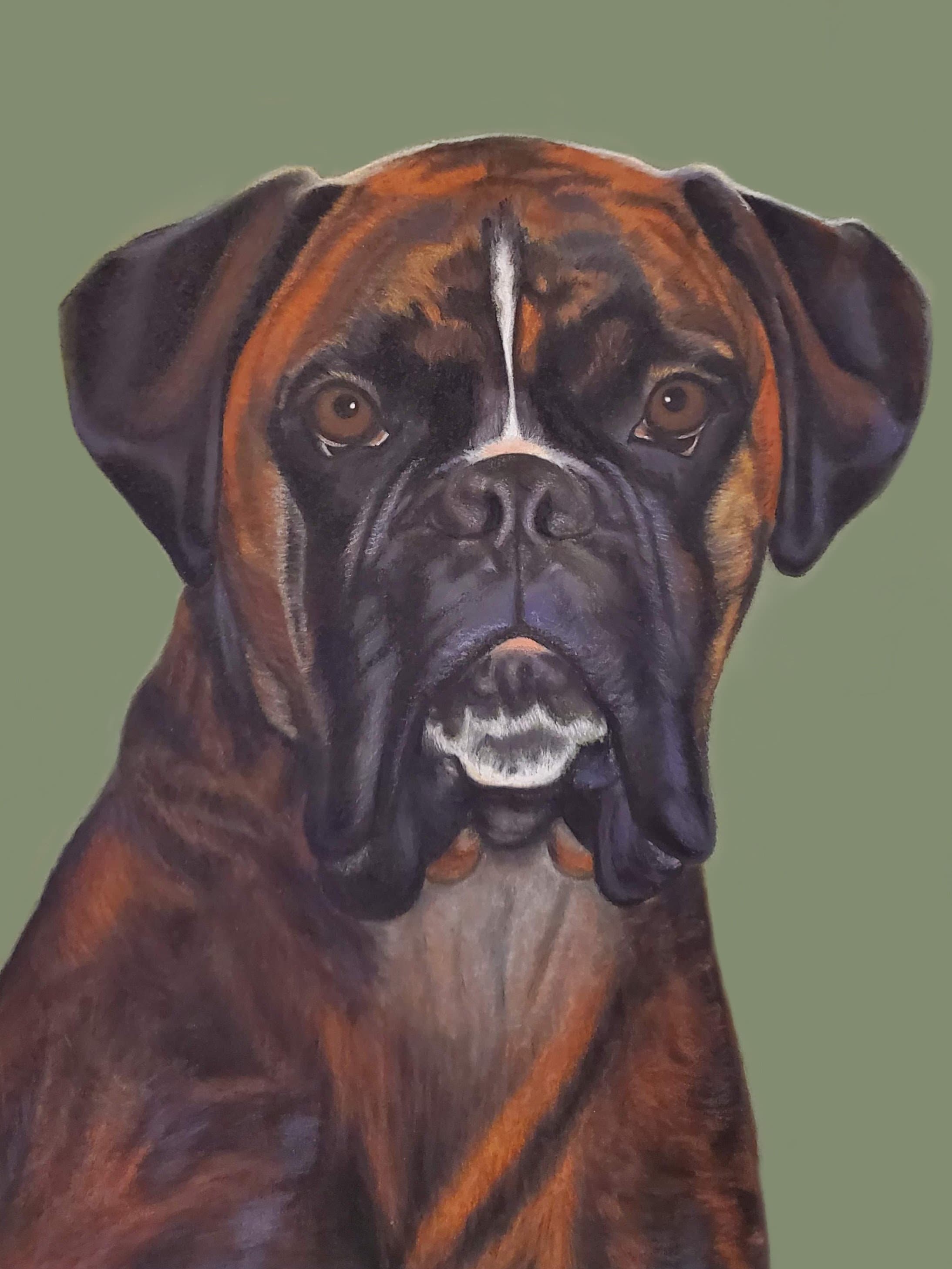 Custom Pet Portait, Hand Drawn Pastel & Colored Pencil Pet Portrait - Etsy