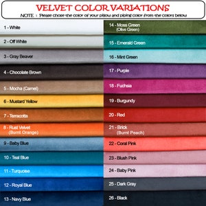 PASSAGERS PERSONNALISÉ Housses de coussin décoratives en tissu d'ameublement velours avec 26 variations de couleurs, coussin coloré avec fermeture à glissière image 10