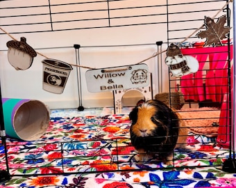 Personalized Guinea Pig sign & Cage Decoration - Formaldehyde Free Plywood | Custom