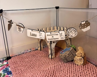 Personalized Rabbit sign & Cage Decoration - Formaldehyde Free Plywood | Custom
