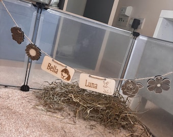 Personalized Rabbit Name sign & Cage Decoration - Formaldehyde Free Plywood | Custom