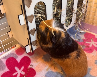 Reserveonderdelen hooiruif voor konijnen en cavia's