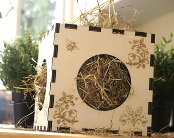 Personalized Hay Cube: Guinea Pig