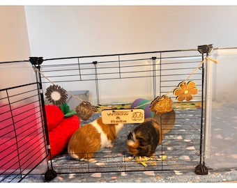 Personalized Guinea Pig and Rabbit Name sign & Cage Decoration - Formaldehyde Free Plywood | Custom