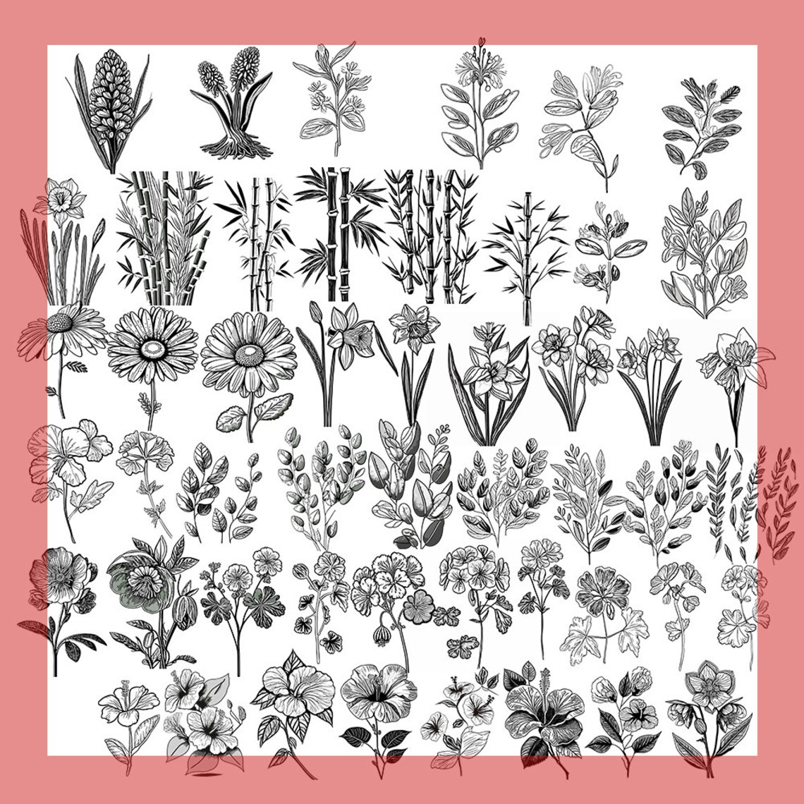 200 Leaves and Branches Svg Procreate Botanical Stamps | Floral Designs ...