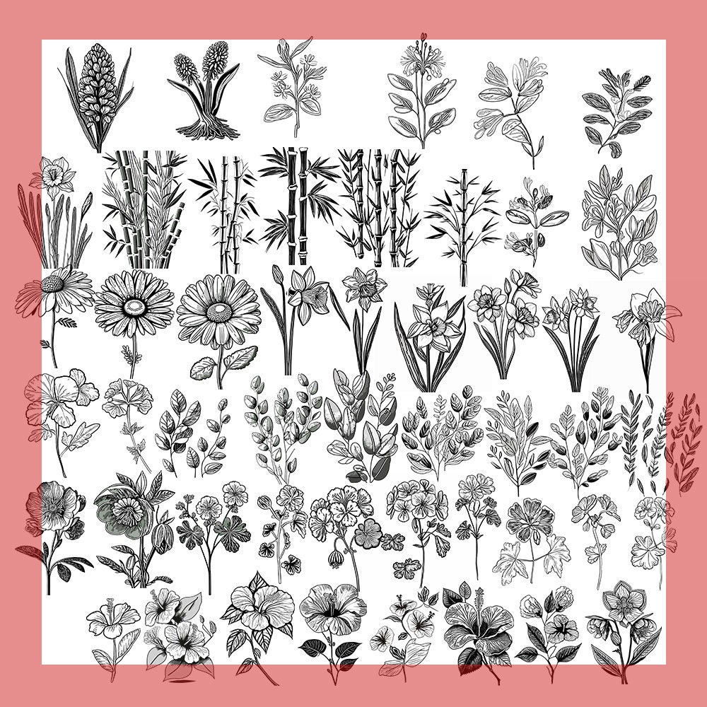200 Leaves and Branches Svg Procreate Botanical Stamps | Floral Designs ...