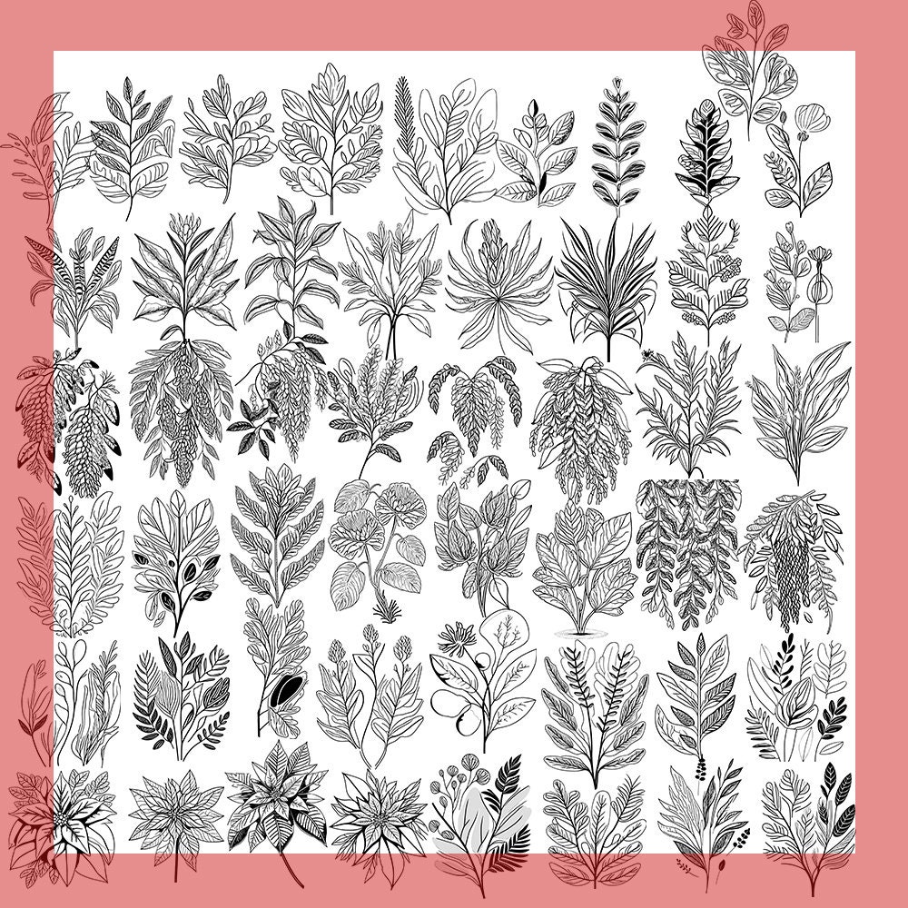 200 Leaves and Branches Svg Procreate Botanical Stamps | Floral Designs ...