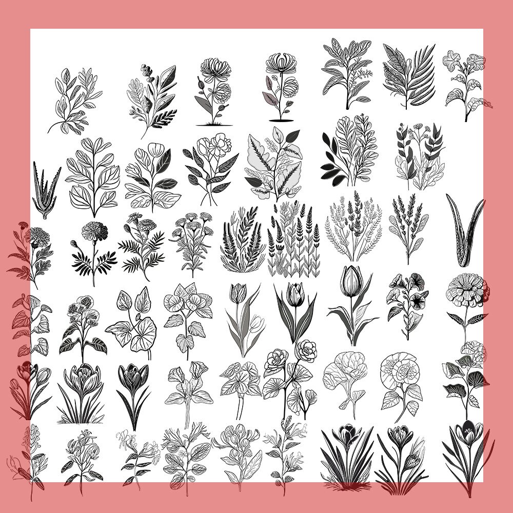 200 Leaves and Branches Svg Procreate Botanical Stamps | Floral Designs ...