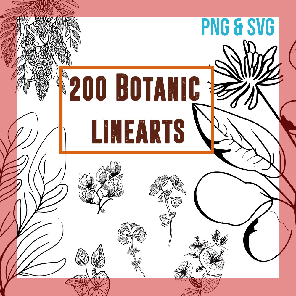200 Leaves and Branches Svg Procreate Botanical Stamps | Floral Designs ...