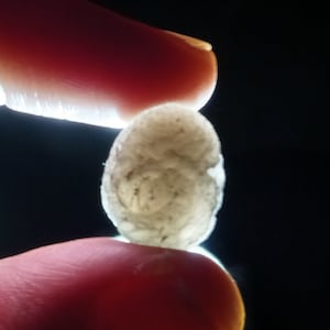 Cintamani stone [Saffordite] (2-3 grams) Gem grade (translucent)