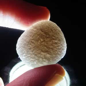 Cintamani stone [Saffordite] (7-12 grams) Gem grade (translucent)