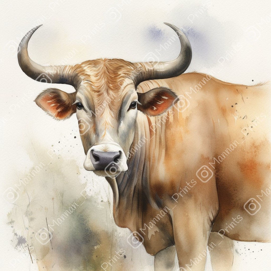 Watercolour Brahmin Cow Wall Art || Digital Print, Painting, Wildlife ...
