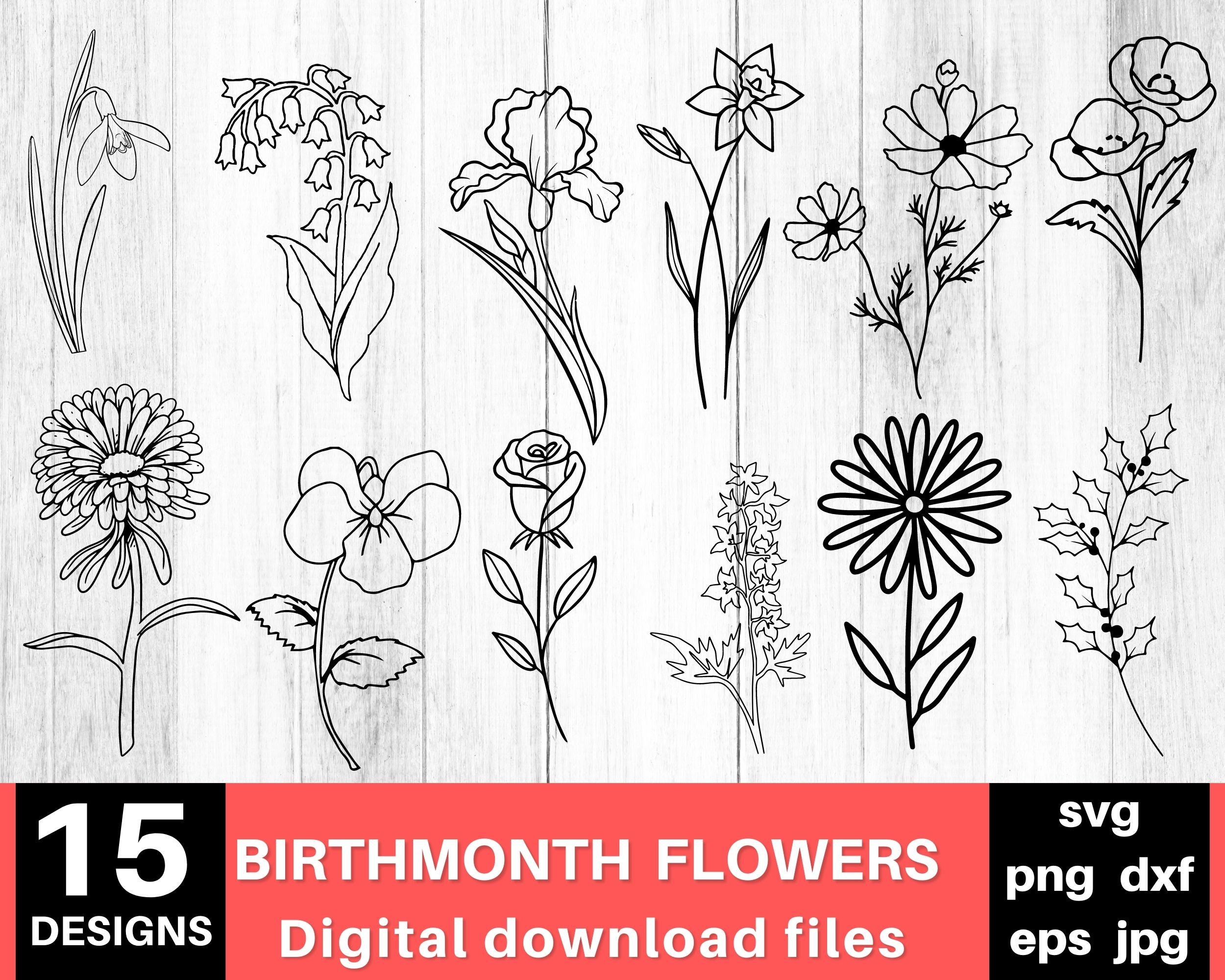 Birth Month Flower Svg Bundle, Birth Month Svg Files, Flower Svg, Flower Clipart, Birthday Svg, Birth Flowers Svg, Instant Download