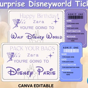 Editable Surprise Disneyworld Ticket, Surprise Reveal Ticket Gift, Disney World Trip, Birthday Gift, Theme Park Ticket, Canva Template