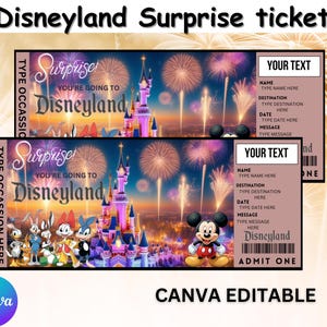 Disneyland Surprise Ticket, Disneyland Trip Gift Ticket, Surprise Disneyland Ticket,  Custom Ticket,   Surprise Gift, Instant Download