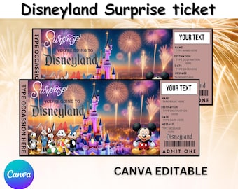 Disneyland Surprise Ticket, Disneyland Trip Gift Ticket, Surprise Disneyland Ticket,  Custom Ticket,   Surprise Gift, Instant Download