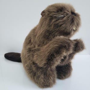 Rare Vintage Jungle Toys of London Beaver Stuffie: Handmade Plush Stuffed Toy, England