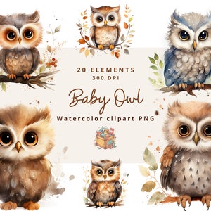 Baby Eule Aquarell Clipart: 300 dpi hohe Qualität für Mädchen und Jungen (PNG Digital Download)