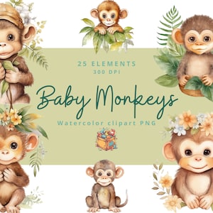 25 aap aquarel clipart, schattige aap baby shower graphics, aap instant png, kinderkamer decor kunst aan de muur, dierentuin dier