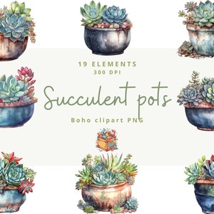Op de afbeelding: Een set van 19 aquarel illustraties van vetplanten in verschillende potten. De potten zijn geschilderd in tinten blauw, bruin en groen. De vetplanten zijn in verschillende tinten groen, roze en rood. De tekst "Succulent pots" is geschreven in cursief schrift.