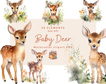 25  Baby Deer Watercolor Clipart, Cute Deer Baby Shower Graphics, Deer instant png, Nursery Decor Wall Art, Zoo Animal