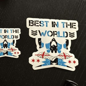 I migliori adesivi del Punk Club al mondo - Adesivi Pro Wrestling Chicago, ideali per borracce, laptop, quaderni, skateboard e pareti
